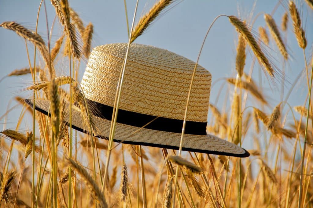 chapeau en paille, dans un champ de blé